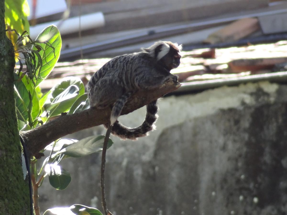 Pousada E Hostel Casa De Laio Vila do Abraao ภายนอก รูปภาพ